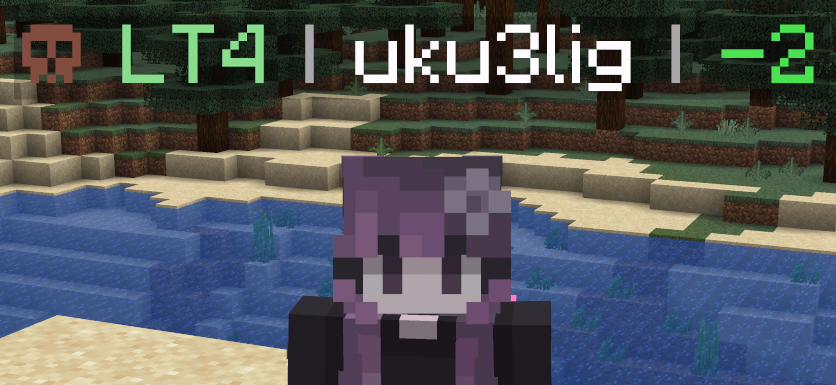 Screenshot of a modified nametag, spelling `LT4 | uku3lig | -2`