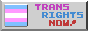 trans rights 88x31